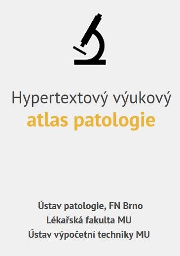 Hypertextový výukový atlas patologie