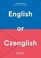 English or Czenglish - defect
