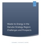 Waste-to-Energy in the Danube Strategy Region: Challenges and Prospects